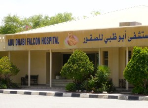 abu-dhabi-falcon-hospital