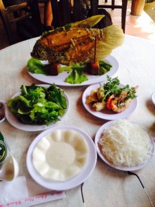 16e746998e73fd118de0068d4c4f286d